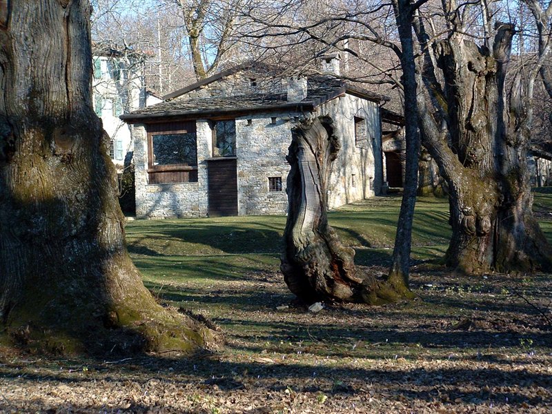 Museum of the Woodland in Poranceto