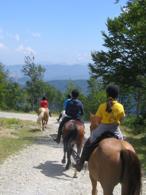 Horse-riding excursion