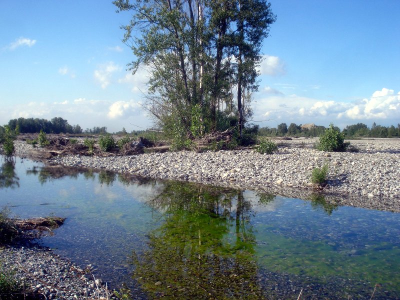 The river Trebbia
