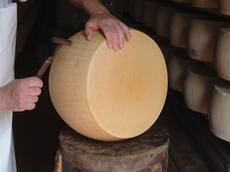 Parmigiano Reggiano: tapping the cheese