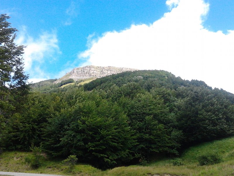 Monte Navert