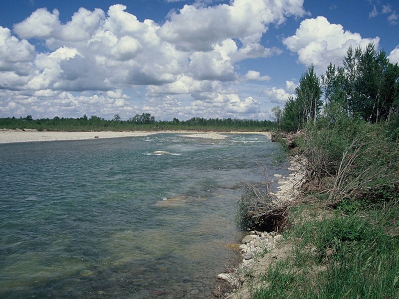 River's meander