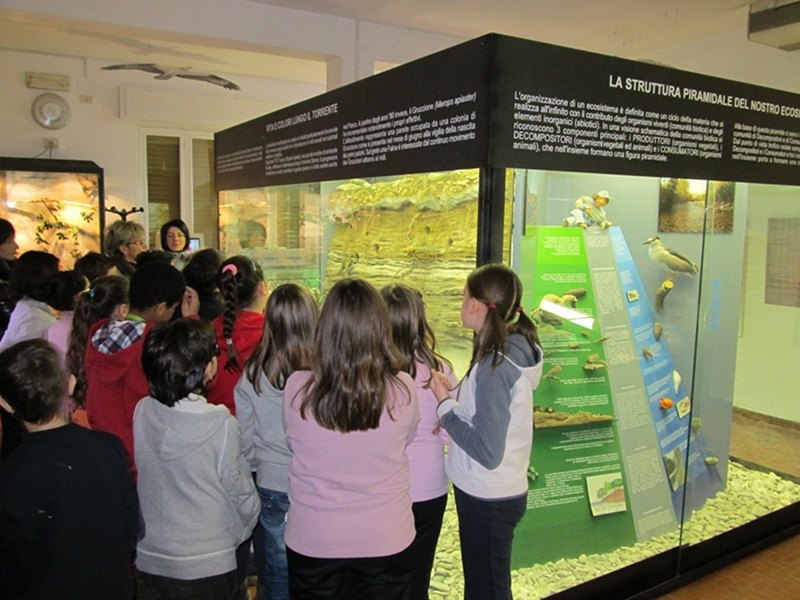 Guided tour at the Park's Nature Museum