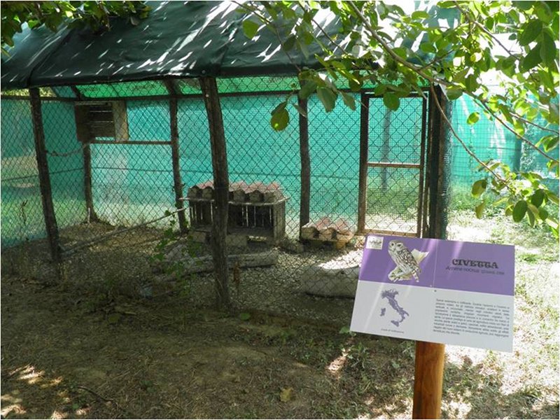 Didactic area - Aviary
