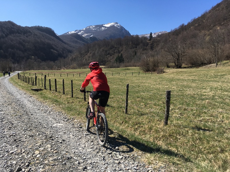 Path by Mountain Bike