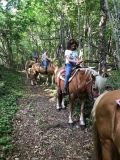 Passeggiata a cavallo alla scoperta del territorio per catturare l’energia positiva del bosco