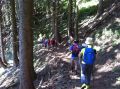Un giardino selvaggio sul Monte Tavola