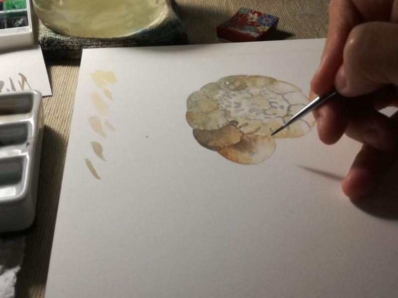 Disegnare i fossili