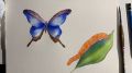 Maria Sibylla Merian: dipingiamo le farfalle con Simona