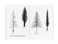 Primavera: gli alberi di Bruno Munari