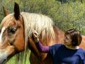 Allenamento atletico del cavallo in campagna