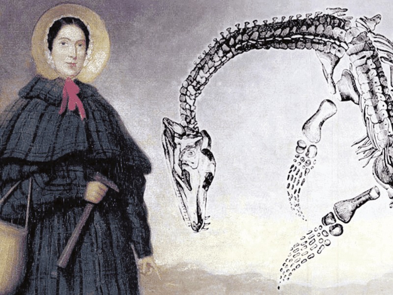 Mary, la cacciatrice di fossili